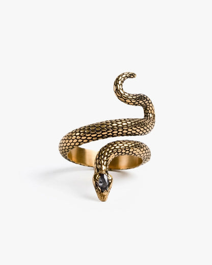 Sorcerer Serpent Ring-Rings- US 4 - Silver - Ask & Embla