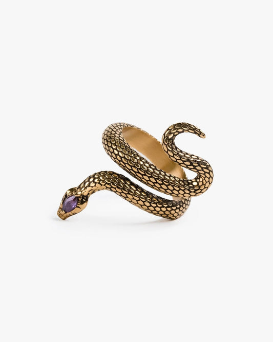 Sorcerer Serpent Ring-Rings- US 4 - Silver - Ask & Embla