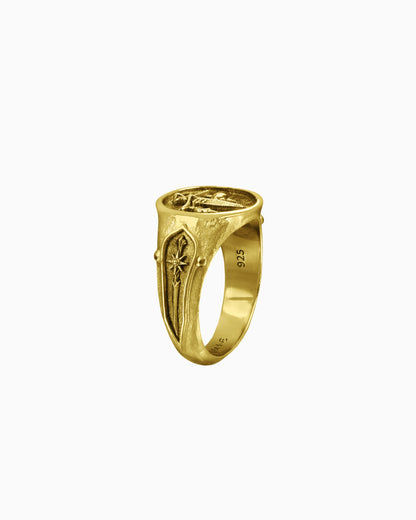 Syzygy Ring-Rings- Two-toned (Silver Base) - US5 - Ask & Embla